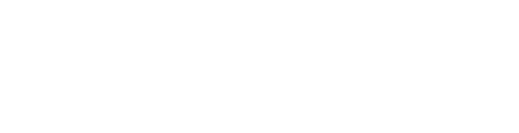 De Romein Group